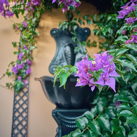 Maison d'hôtes Silver Coast