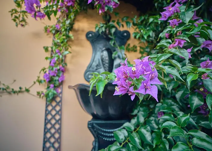 Guest house Silver Coast